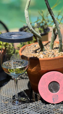 Wine Tapa